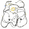 Body (bottom) wiring harness