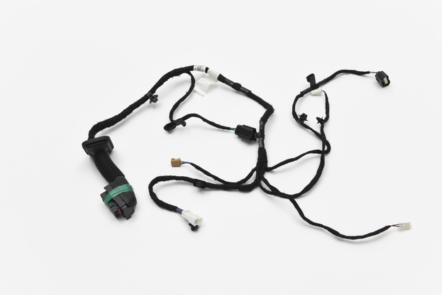 Left and right door wiring harness